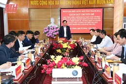 Đoàn đại biểu Quốc hội tỉnh nâng cao chất lượng giám sát theo chuyên đề