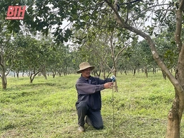 Tối ưu hóa quy trình sản xuất nông nghiệp