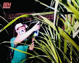 Nỗ lực phòng, chống bệnh sốt rét quay trở lại
