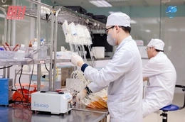 Trung tâm Huyết học - Truyền máu, Bệnh viện Đa khoa tỉnh Thanh Hóa đạt chuẩn EU-GMP Ngân hàng máu