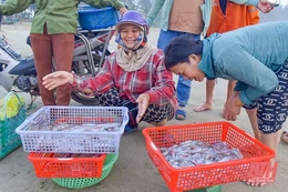 Ngư dân Quảng Xương ra khơi “săn” lộc biển dịp nghỉ lễ 30/4