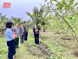 Giáo dân thị xã Nghi Sơn&nbsp;sống “tốt đời, đẹp đạo”