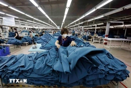 Doanh nghiệp linh hoạt, ứng biến với tình hình mới để đẩy mạnh xuất khẩu