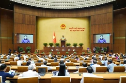 Đề xuất giảm thời gian thực hiện quy trình, thủ tục bầu cử còn 42 ngày