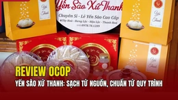 [REVIEW OCOP] Yến sào xứ Thanh: Sạch từ nguồn, chuẩn từ quy trình
