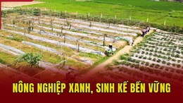 Nông nghiệp xanh, sinh kế bền vững