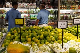 OECD hạ dự báo tăng trưởng kinh tế toàn cầu năm 2025 và 2026