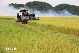 Việt Nam là một trong các nước có khả năng tự chủ lương thực ở mức cao