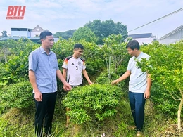 Phát huy vai trò Hội Nông dân trong xây dựng nông thôn mới