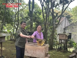 Phát triển nghề nuôi ong mật