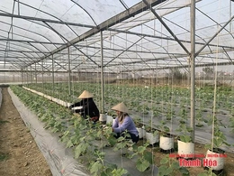 Những dòng vốn đầu tư thay đổi diện mạo đồng quê