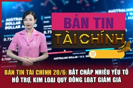 Bản tin Tài chính 20/6: Bất chấp nhiều yếu tố hỗ trợ, kim loại quý đồng loạt giảm giá