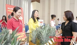 Tổ chức Chương trình xúc tiến thương mại, kết nối giao thương doanh nghiệp Thanh Hóa ba miền năm 2025