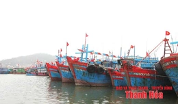 Hiệu quả từ chính sách hỗ trợ phát triển thủy sản và bảo đảm an toàn cho ngư dân