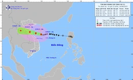 Dự báo chiều 25/8, bão số 5 vào đất liền Thanh Hóa đến Quảng Trị 