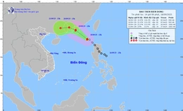 Áp thấp nhiệt đới mạnh lên thành bão số 8