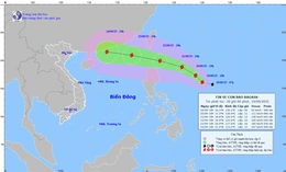 Bão Mitag suy yếu thành áp thấp nhiệt đới, bão RAGASA đang tiến vào Biển Đông