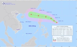 Xuất hiện cơn bão RAGASA ngay sau bão số 8 với cường độ rất mạnh