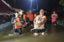 Bão Bualoi: Philippines sơ tán 400.000 người, 3 trường hợp tử vong