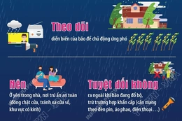 Kỹ năng an toàn cần biết khi bão đổ bộ