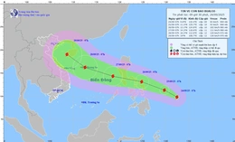 Đề nghị 21 tỉnh, thành phố chủ động ứng phó với bão Bualoi gần Biển Đông