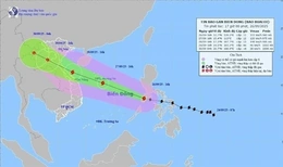 Bộ Y tế: Trực 24/24h, không để gián đoạn cấp cứu, điều trị trong bão số 10