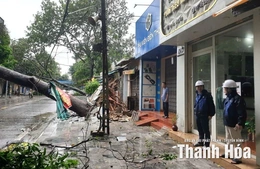 Bão số 10 khiến gần 338.000 khách hàng sử dụng điện bị ảnh hưởng
