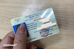 Người dân được khai thác thông tin trên trang điện tử về giấy phép lái xe