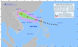 Bão số 11 tiếp tục tăng cấp, cách Hoàng Sa 570km