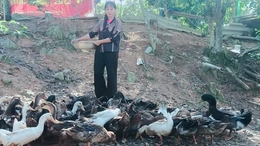 Phụ nữ dân tộc Thổ vượt khó làm giàu