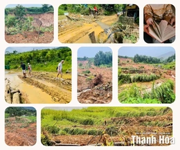 Các cơ sở lưu trú du lịch nỗ lực “vực dậy” sau bão