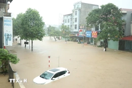 Đề nghị các địa phương chủ động ứng phó với mưa, lũ lớn do hoàn lưu bão số 11