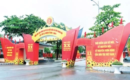 Vững tin dưới ngọn cờ vinh quang của Đảng