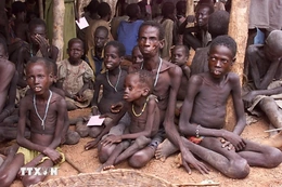 WFP cảnh báo gần 14 triệu người có nguy cơ rơi vào nạn đói do cắt giảm viện trợ