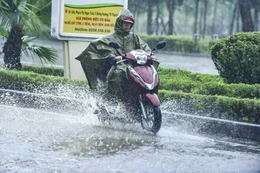 Chủ động ứng phó với thiên tai, đảm bảo an toàn cho Nhân dân và thành công của Đại hội Đảng bộ tỉnh