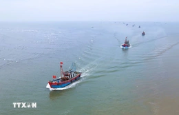 Thủ tướng yêu cầu tập trung tháng cao điểm chống khai thác hải sản bất hợp pháp
