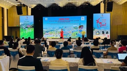 Thanh Hóa kết nối giao thương cùng doanh nghiệp du lịch Philippines và Hàn Quốc