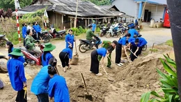 Màu áo tình nguyện trên vùng cao Pù Nhi