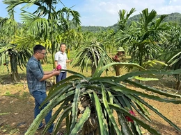 Vân Du đưa nghị quyết đại hội đảng bộ vào cuộc sống