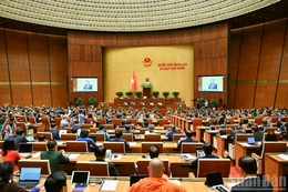 Khai mạc trọng thể Kỳ họp thứ 10, Quốc hội khóa XV