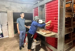 Nông dân áp dụng công nghệ cao vào chăn nuôi gà