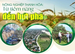 [E - Magazine] Nông nghiệp Thanh Hóa - Từ tiềm năng đến bứt phá