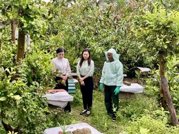 Hóa Quỳ đưa nghị quyết vào cuộc sống