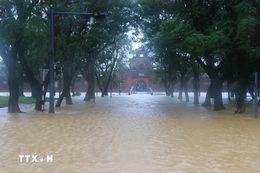 Hội Chữ thập Đỏ VN cứu trợ khẩn cấp người dân miền Trung bị thiệt hại do mưa lũ