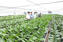 Phát huy vai trò của Hội Nông dân trong phát triển kinh tế tập thể