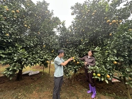 Điền Lư đưa nghị quyết đại hội Đảng vào cuộc sống