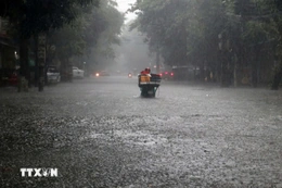 Bão Kalmaegi tăng cấp, hướng về khu vực giữa Biển Đông
