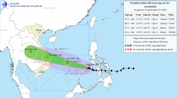 Bão số 13 (Kalmaegi) giật cấp 16, đi vào Biển Đông
