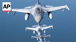 Ba Lan, Romania triển khai hệ thống chống UAV tiên tiến  do Mỹ sản xuất