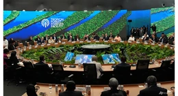 COP30: Tổng thống Brazil kêu gọi giảm nhiên liệu hóa thạch, Đức cam kết hỗ trợ quỹ bảo vệ rừng nhiệt đới
